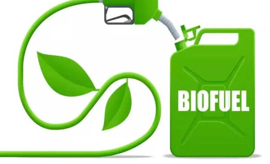 G20 Biofuels Alliance